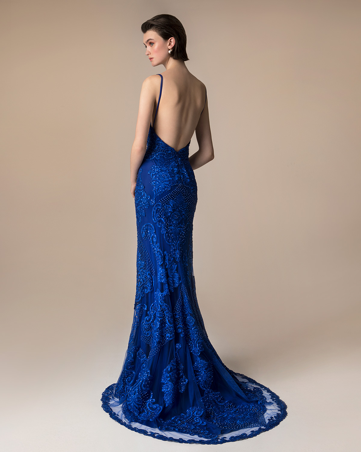 Evening Dresses / Long evening dress with beading and applique lace