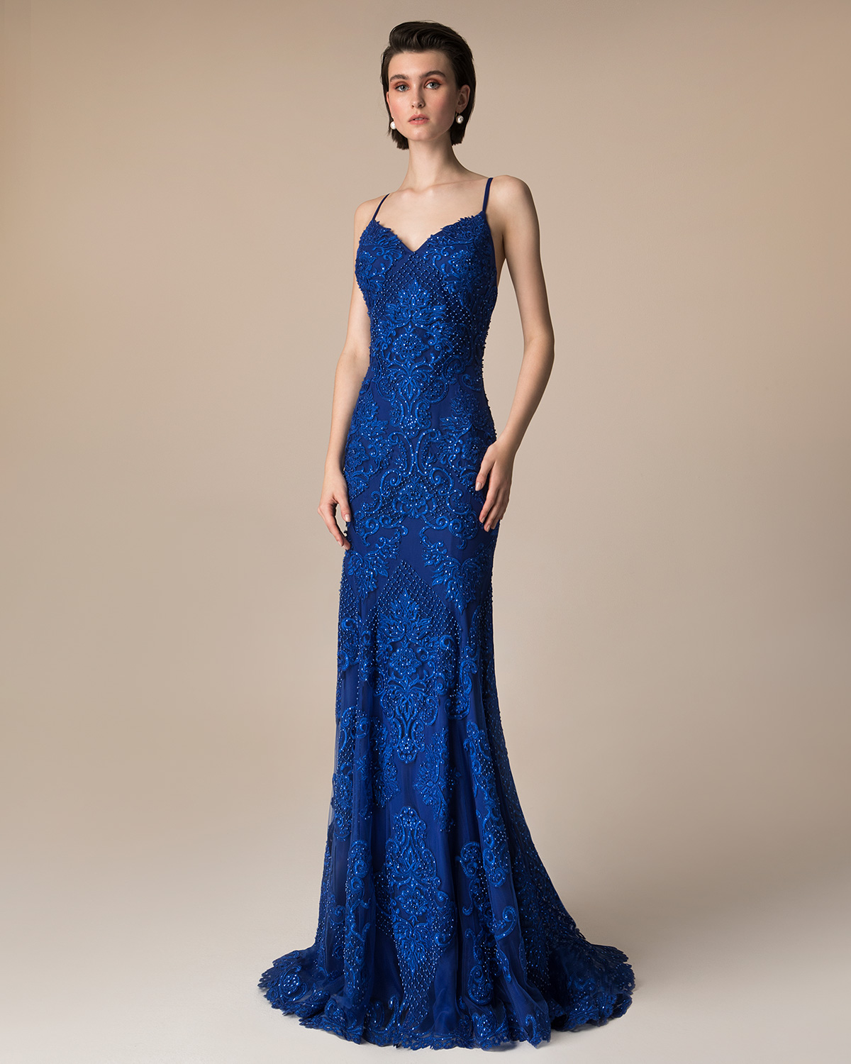 Evening Dresses / Long evening dress with beading and applique lace