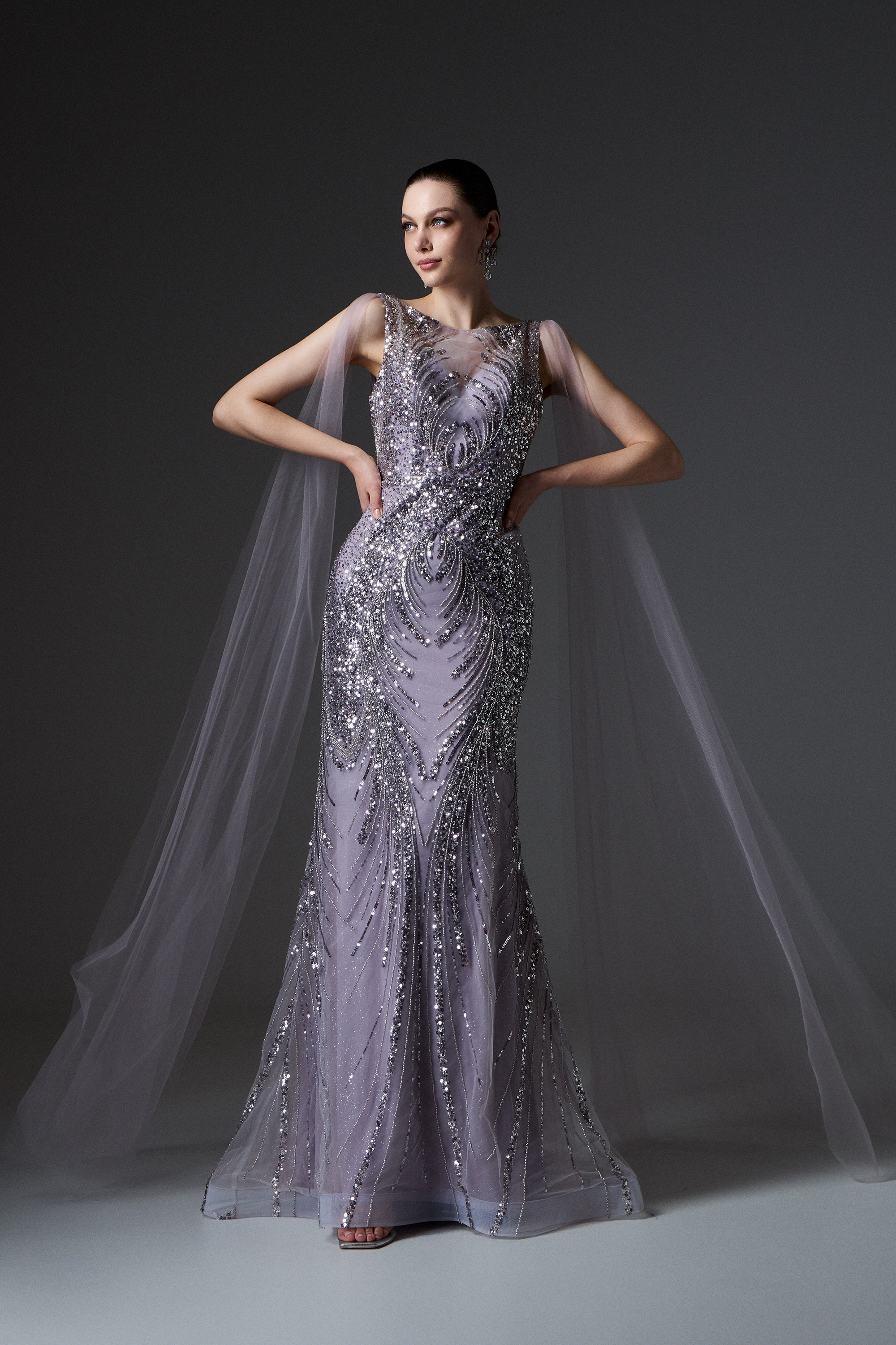 Red Carpet / Evening long fully embroidered dress with tulle on the shoulders