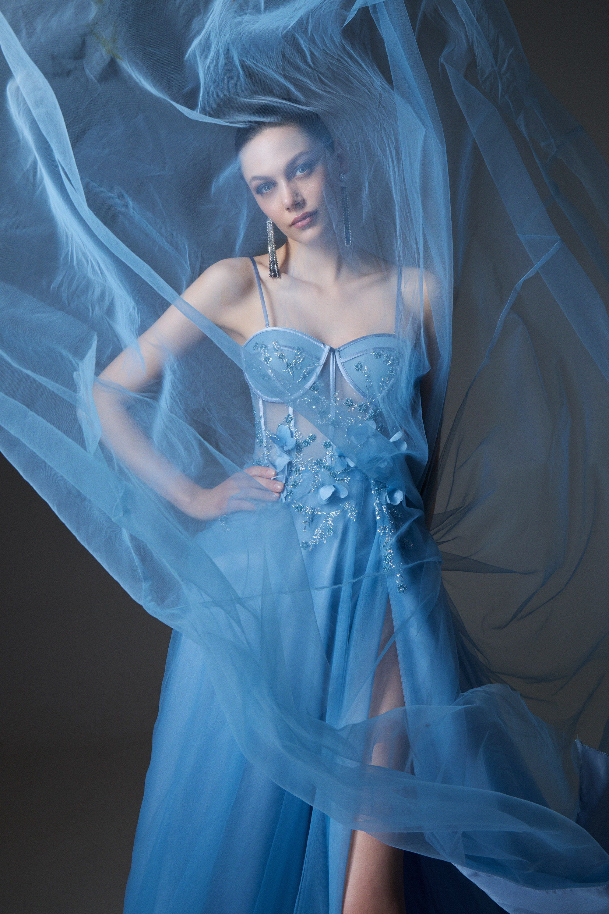 Red Carpet / Evening long tulle dress with embroidered boned top