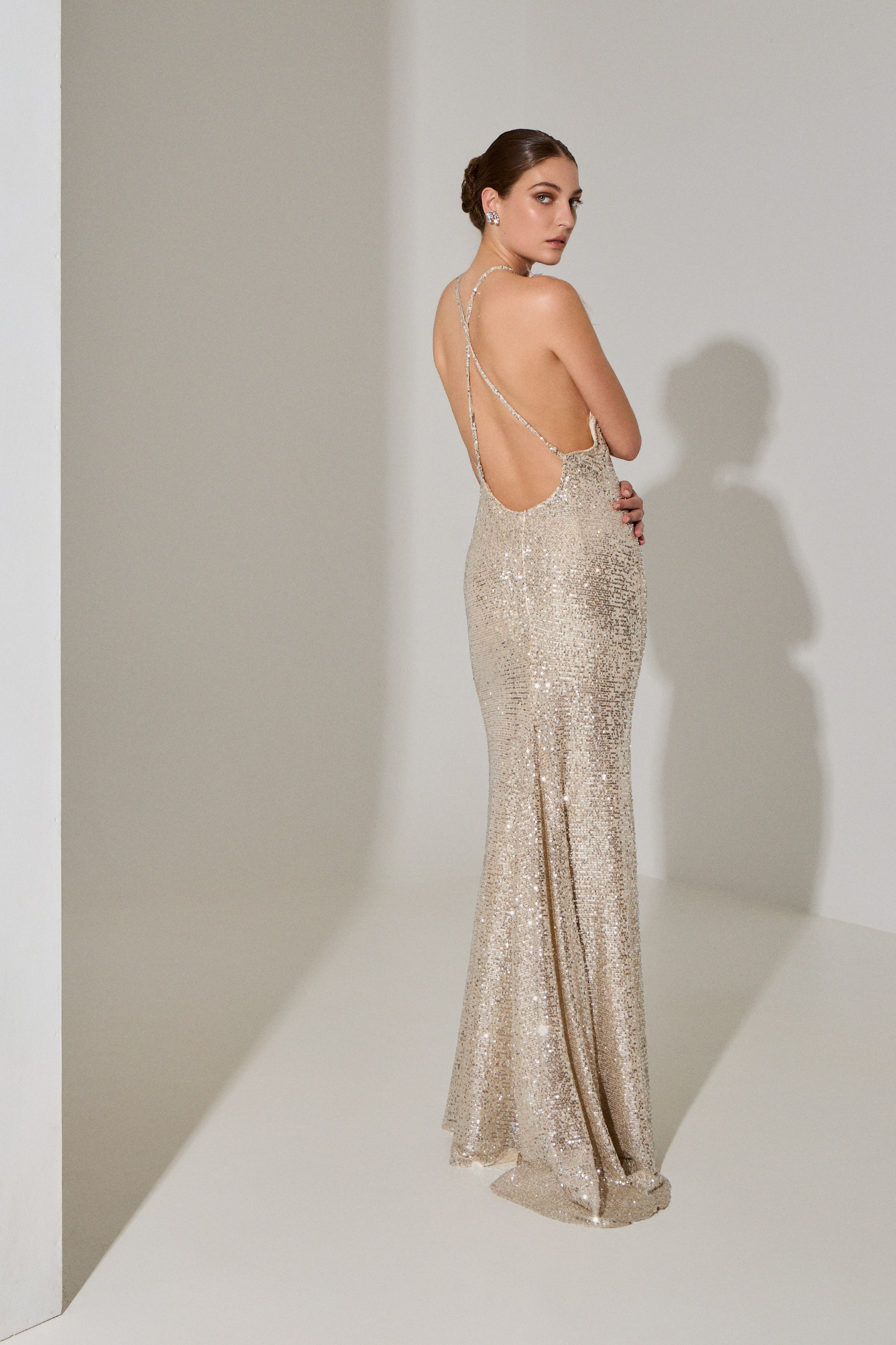 Evening Dresses / Evening long mermaid backless dress fully covered in sequins