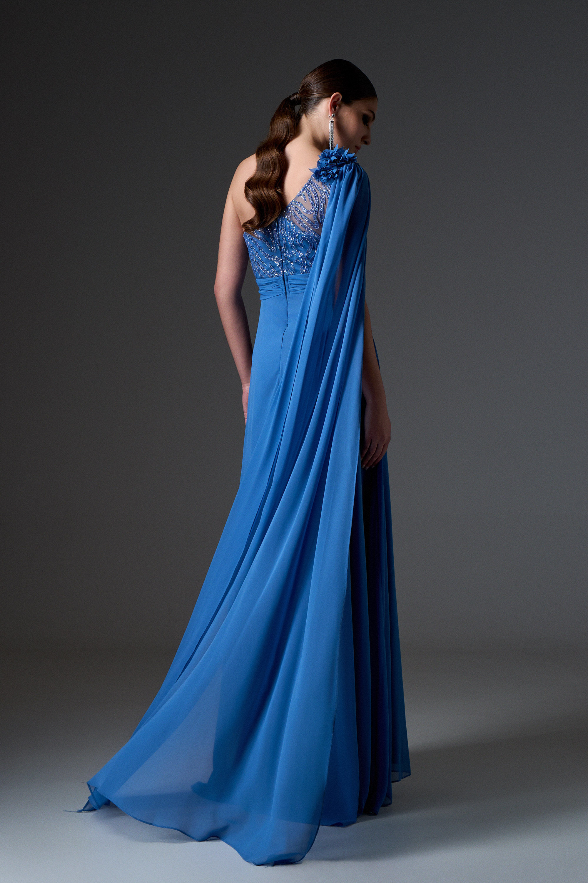 Red Carpet / Abito da sera lungo in chiffon con una spalla e top ricamato