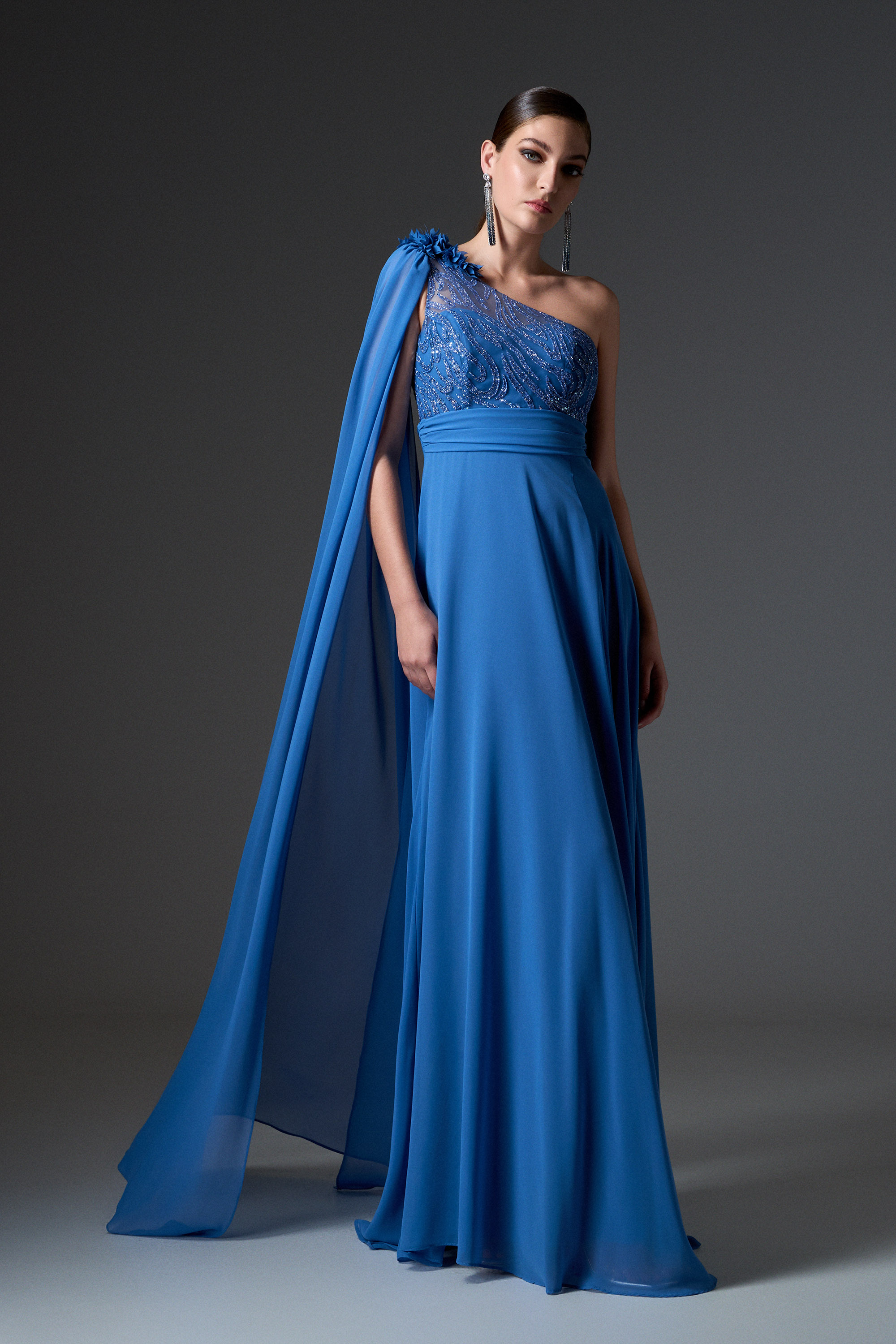 Red Carpet / Abito da sera lungo in chiffon con una spalla e top ricamato