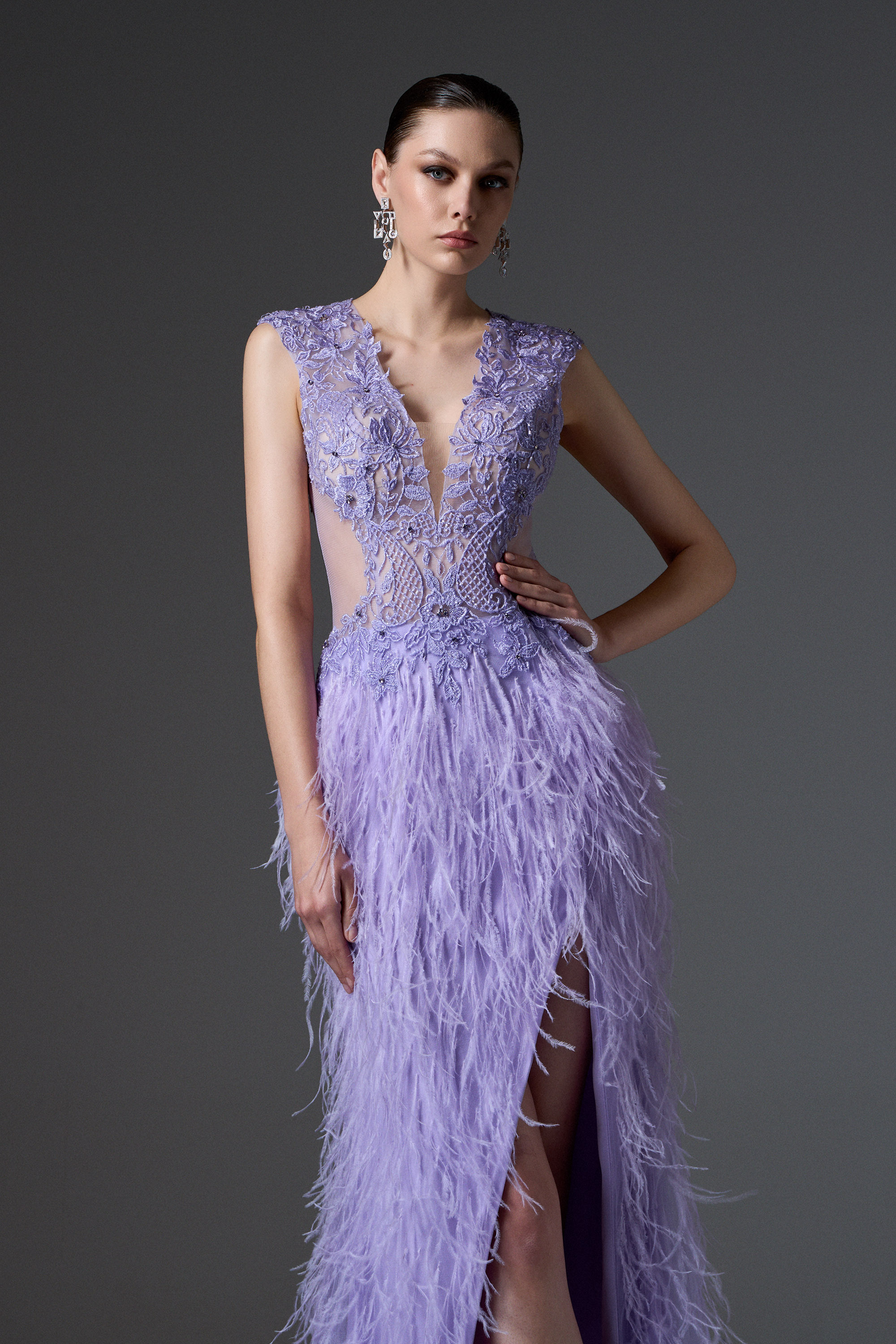 Red Carpet / Abito da sera lungo con schiena scoperta, top in pizzo ricamato e gonna con piume