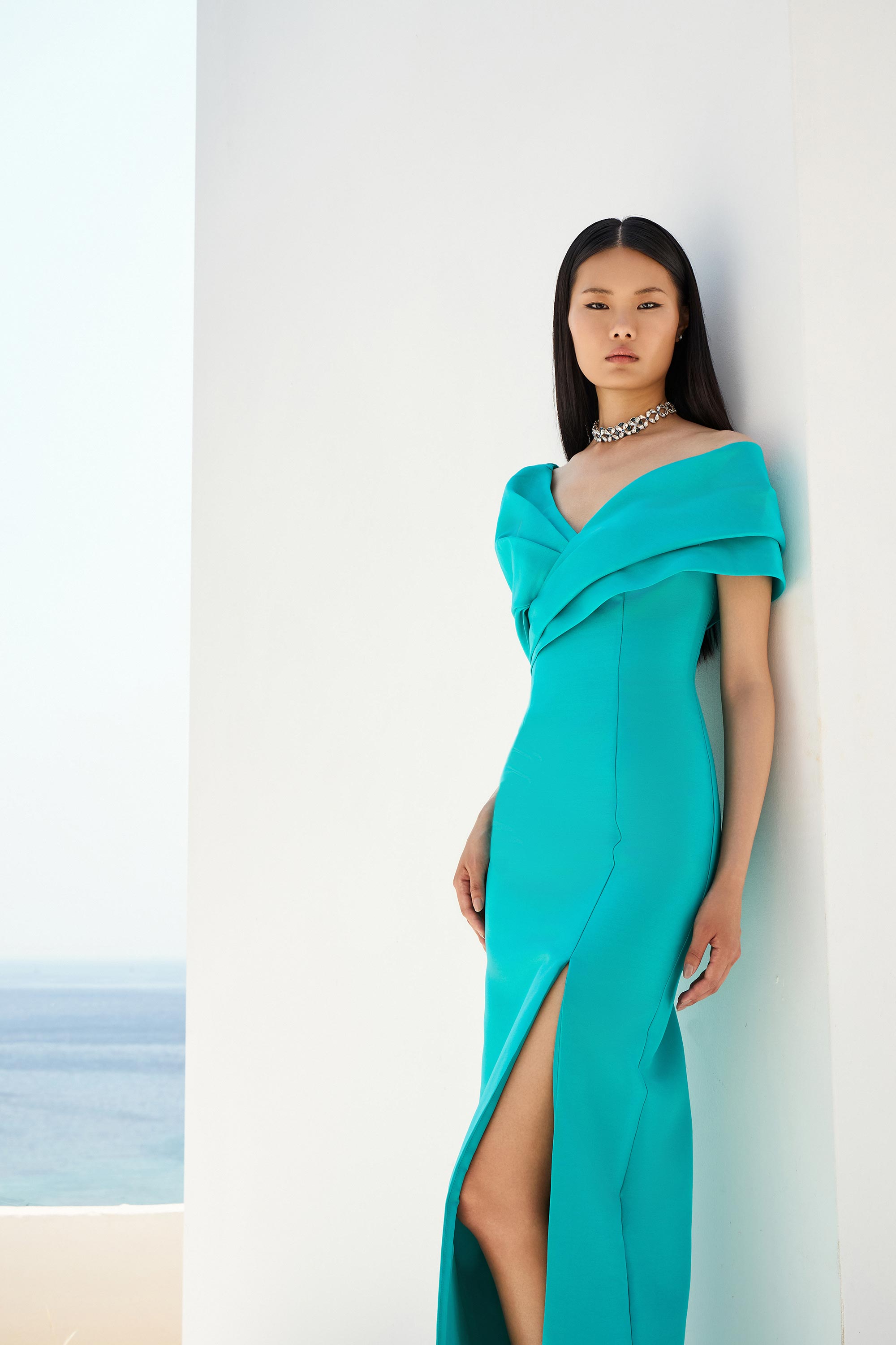 Βραδινά Φορέματα / Βραδινό εφαρμοστό φόρεμα με γιακά που καλύπτει τους ώμους και σκίσιμο.